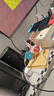 良值 (IINE)复古卡片游戏手柄 Switch2唤醒迷你手柄体感霍尔摇杆 安卓IOS手机PC车机 宝可梦ZA NS2配件 实拍图