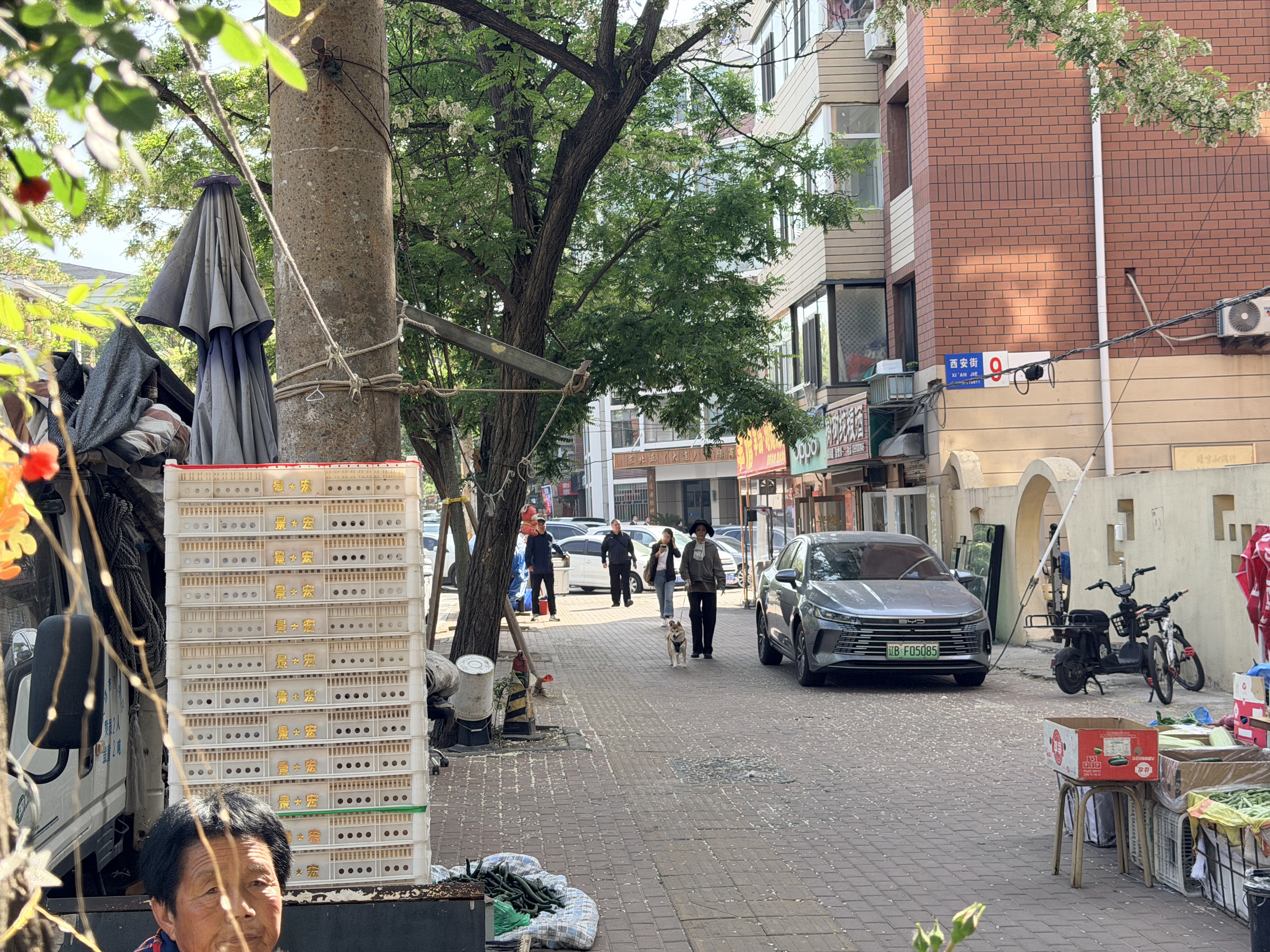 哈拿（TRE-Hana）户外急救包套装地震应急包医药包旅行包车载自驾游野外用品装备 红色HN-J01中号急救包 实拍图