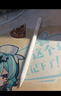 Apple/苹果 Pencil Pro 磁吸触控笔手写笔苹果笔电容笔书写绘画ipad笔 适用于iPad Pro/Air/mini机型 实拍图