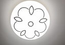 雷士（NVC）led灯盘吸顶灯替换灯芯灯板圆形磁吸模组灯管灯条24瓦白光6500K 实拍图
