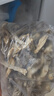 十月稻田 鹿茸菇 150g 高蛋白 脆嫩提鲜 山珍菌菇干货 炒菜煲汤火锅食材 实拍图