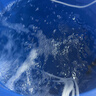 优之星鱼缸增氧泵大功率增氧机养鱼卖鱼海鲜缸氧气泵打氧水产养殖充氧泵 ACO-003气泵 46W【 全套配件 】 实拍图
