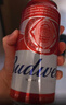 百威啤酒TOP淡色拉格450ml*18听整箱装京东自营新老包装混发踏春送礼 实拍图