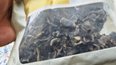 十月稻田 东北黑木耳 100g 肉厚无根 干木耳 黑龙江东宁特产 火锅煲汤凉拌 实拍图