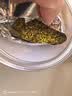 参庆堂桂花50g原味干桂花茶广西桂林金桂花茶干花泡水喝花草养生茶礼品 实拍图