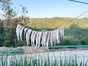 中逵小师达极轻小综合二代钓鱼竿手竿28调碳素超轻硬鲤鲫台钓竿 4.5m 4.5H 重量87g 可钓5-15斤 实拍图