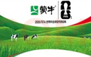 蒙牛全脂纯牛奶250ml*24盒 世界杯定制装 实拍图