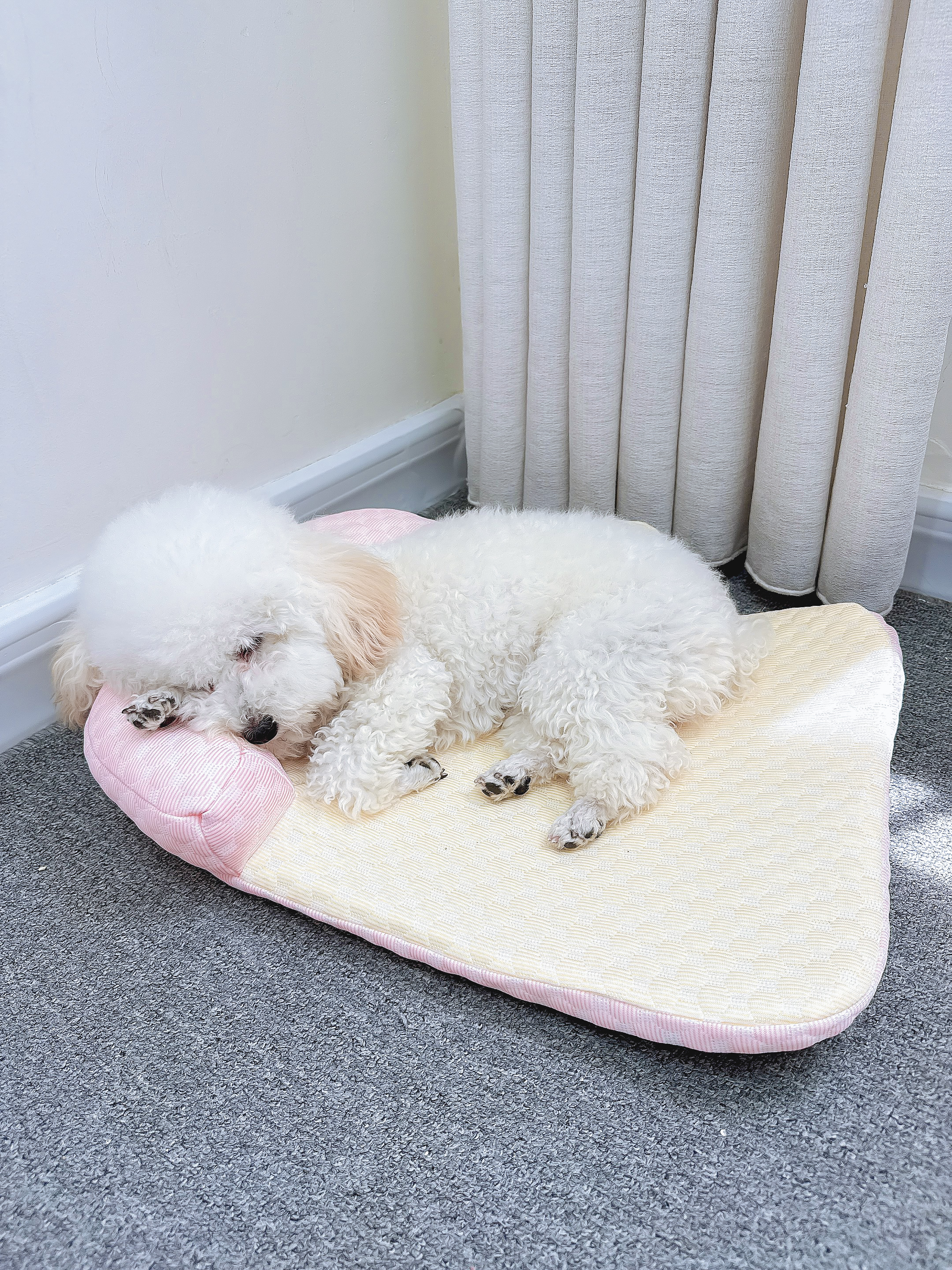 BNBNO夏天猫狗窝小型犬比熊泰迪夏凉窝冰丝凉席垫四季通用降温宠物睡床 实拍图