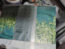 珀莱雅小球藻面膜补水保湿海藻补水玻尿酸面膜男女士生日礼物520礼盒 实拍图