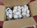 大蒜头出口品质网兜紫蒜蔬菜调料新鲜大果烧烤火锅食材 山东【精品网兜装】5斤装 净重2300g 实拍图
