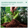 史丹利椰糠砖650g*3 椰土砖椰砖营养土脱盐花土耶砖种菜通用型 实拍图