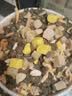 伟嘉猫粮成猫全价猫粮亮毛均衡营养10kg海洋鱼味夹心粮【原料透明】 实拍图