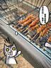 诺歌花园烧烤架户外庭院烧烤炉家用烧烤工具露营烤肉野外用具多功能炭烤炉 磨砂黑灰【标准款】送起盘夹 实拍图
