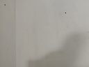 史丹利彩色陶粒垫底养花专用水培花盆种花颗粒铺面园艺土陶土粒球3斤 实拍图