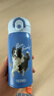 膳魔师（THERMOS）保温杯350毫升316钢男女士儿童咖啡水杯子TCMO-350FS DOG (PET2) 实拍图