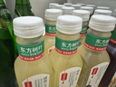 农夫山泉东方树叶绿茶500ml*15瓶无糖茶饮料0糖0脂0卡整箱装饮品 实拍图