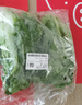 上海青约500g(油菜) 实拍图