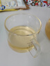 金灶（KAMJOVE）玻璃茶壶飘逸杯过滤茶水壶茶具 大容量茶水分离杯泡茶器泡茶壶 实拍图