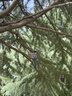 维达擦手纸单层200抽*20包L码 商用酒店洗手间商场 新旧随机VS2290 实拍图
