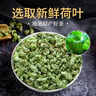 贡苑特级荷叶茶【大份量510g】纯荷叶泡水喝花草茶搭配大油切肥肚子茶 实拍图