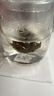 物生物（RELEA）玻璃杯男女士茶水分离杯耐高温办公泡茶杯带把高硼硅水杯花茶杯子 实拍图