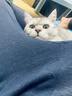 皇家幼猫奶糕猫粮 离乳期孕猫BK34通用粮 1-4月增强免疫亲肠胃助消化 BK34离乳期幼猫粮试用装50g*3（非卖品） 实拍图