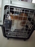 腆宠宠物航空箱小号 猫咪航空箱猫狗 猫包猫笼外出车载猫箱狗狗托运 实拍图