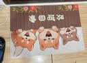 艾杰普丝圈入户门地垫大门口进户门厨房浴室脚垫子可裁剪防滑垫进门地毯 实拍图