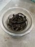 天池乌龙茶传承凤凰单丛茶单枞黄枝香一级125g罐装节日送礼高山茶叶 实拍图