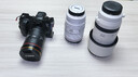 佳能（Canon）RF100-500mm F4.5-7.1 L IS USM 超远摄变焦镜头【滤镜防护套装】 实拍图