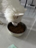 疯狂小狗中大型犬狗粮成幼犬40斤装宠物柯基边牧金毛拉布拉多鸡肉燕麦20kg 实拍图