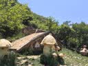Borsu医用护膝保暖关节炎半月板损伤膝盖男女士专用业运动登山跑步防具 实拍图
