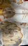 凤祥食品 无骨鸡柳800g 炸鸡柳半成品油炸小吃空气炸锅食材 实拍图