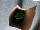 茗山生态茶乌龙茶 福建大红袍  茶叶100g礼盒简装 茶叶自己喝 实拍图