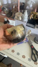 毛戈平奢华鱼子酱面膜65g涂抹面膜抗皱紧致保湿补水修护520送女朋友礼物 实拍图