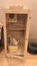 腆宠猫笼猫窝实木猫别墅大号猫咪笼子猫柜猫笼子家用室内猫舍猫屋猫房 实拍图