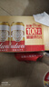 百威啤酒经典纯生500ml*12听整箱装新旧包装京东自营踏春送礼 实拍图
