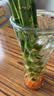 花行榜水培植物富贵竹转运竹子室内客厅招财绿植花卉盆栽节节高源头直发 实拍图