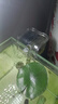 疯狂水草（FKSC）小鱼缸过滤器鱼缸三合一过滤器 Q206大滤仓整套带除油膜 鱼缸水泵 晒单实拍图