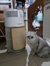 霍尼韦尔（Honeywell）宠物空气净化器吸猫毛除过敏源猫猫搭子 猫毛净化器杀菌消毒除异味KJ360F-C22W 实拍图