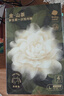 babycare山茶花高腰一次性内裤女孕妇产后大码产妇旅行月子免洗 L码4条 实拍图
