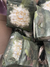 babycare金山茶花拉拉裤XL34片(12-17kg)婴儿尿不湿超薄透气新生柔花苞裤 实拍图