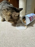 麦富迪猫零食猫冻干猫咪零食冻干桶成幼猫通用冻干磨牙零食 三文鱼55g（亮毛护肤） 实拍图
