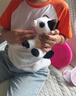 ZURU佩特宠物毛线猫咪女孩卡通玩偶趣味发声互动玩具生日礼物猫咪摆件 实拍图