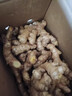 言片光云南小黄姜 生姜 新鲜现挖老姜月子姜生鲜火锅食材 净重0.5斤【有坏包赔】 【品质小黄姜】原产地直发 实拍图