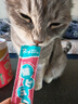 最宠（Paddy Time）猫零食猫条混合味15g*60支 宠物营养成幼猫咪湿粮零食品补水发腮 实拍图