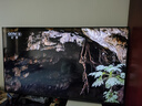 酷开创维55K3【送装一体】一级能效 32GB  144Hz AI远场语音 国家补贴 液晶平板电视机55P3F-J 实拍图