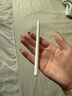 Apple/苹果 Pencil(USB-C) 磁吸触控笔手写笔苹果笔电容笔ipad笔 适用iPad 11/mini/Pro/Air 实拍图