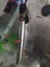 日胜（RS）鱼缸加热棒不锈钢款100W 自动恒温精准温控 水族箱加热器 实拍图