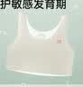 猫人少女内衣6-12岁初发育自营一阶段小学初中生文胸女童背心儿童内衣 实拍图